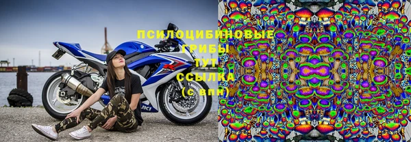прущие грибы Алексин