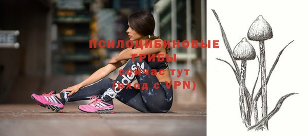 прущие грибы Алексин