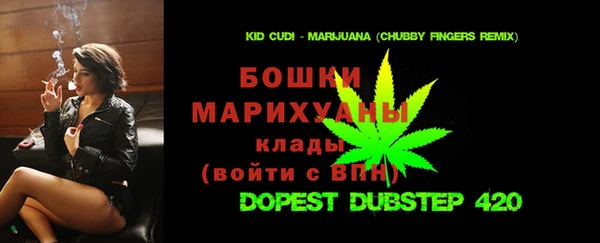 прущие грибы Алексин
