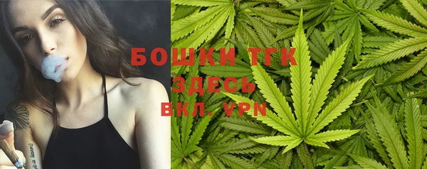 прущие грибы Алексин