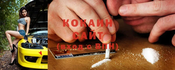 прущие грибы Алексин